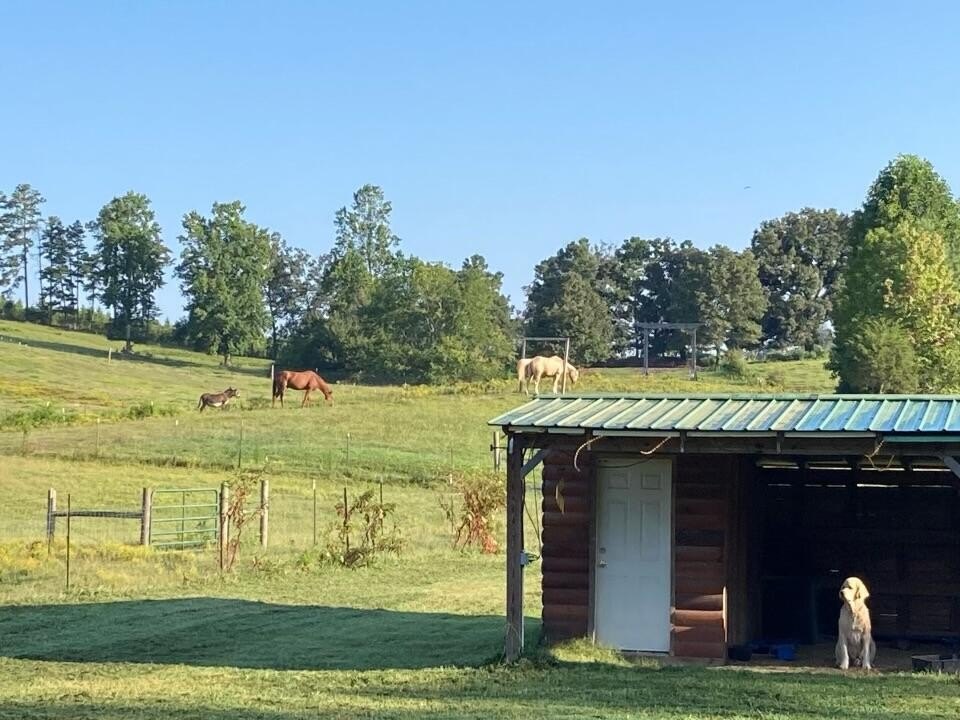 Trion, Georgia, 30753, United States, 3 Bedrooms Bedrooms, ,1 BathroomBathrooms,Residential,Forsale,2004684