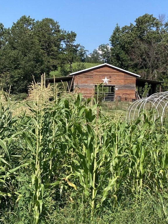 Trion, Georgia, 30753, United States, 3 Bedrooms Bedrooms, ,1 BathroomBathrooms,Residential,Forsale,2004684