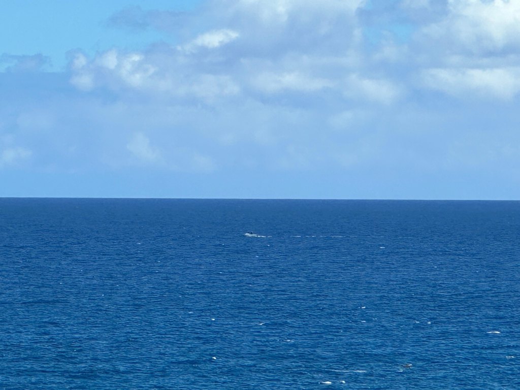 Kamuela, Hawaii, 96743, United States, ,Land,Forsale,1989832