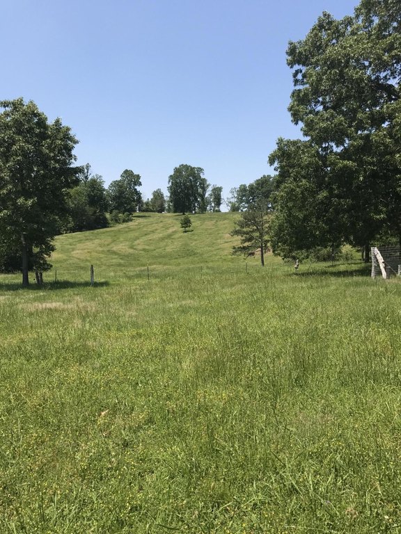 Trion, Georgia, 30753, United States, 3 Bedrooms Bedrooms, ,1 BathroomBathrooms,Residential,Forsale,2004684