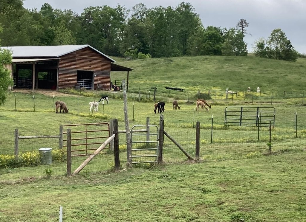 Trion, Georgia, 30753, United States, 3 Bedrooms Bedrooms, ,1 BathroomBathrooms,Residential,Forsale,2004684