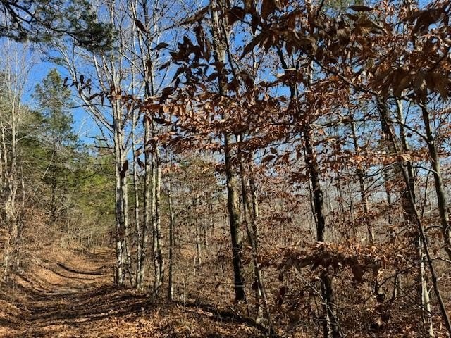 Celina, Tennessee, 38551, United States, ,Land,Forsale,1999487