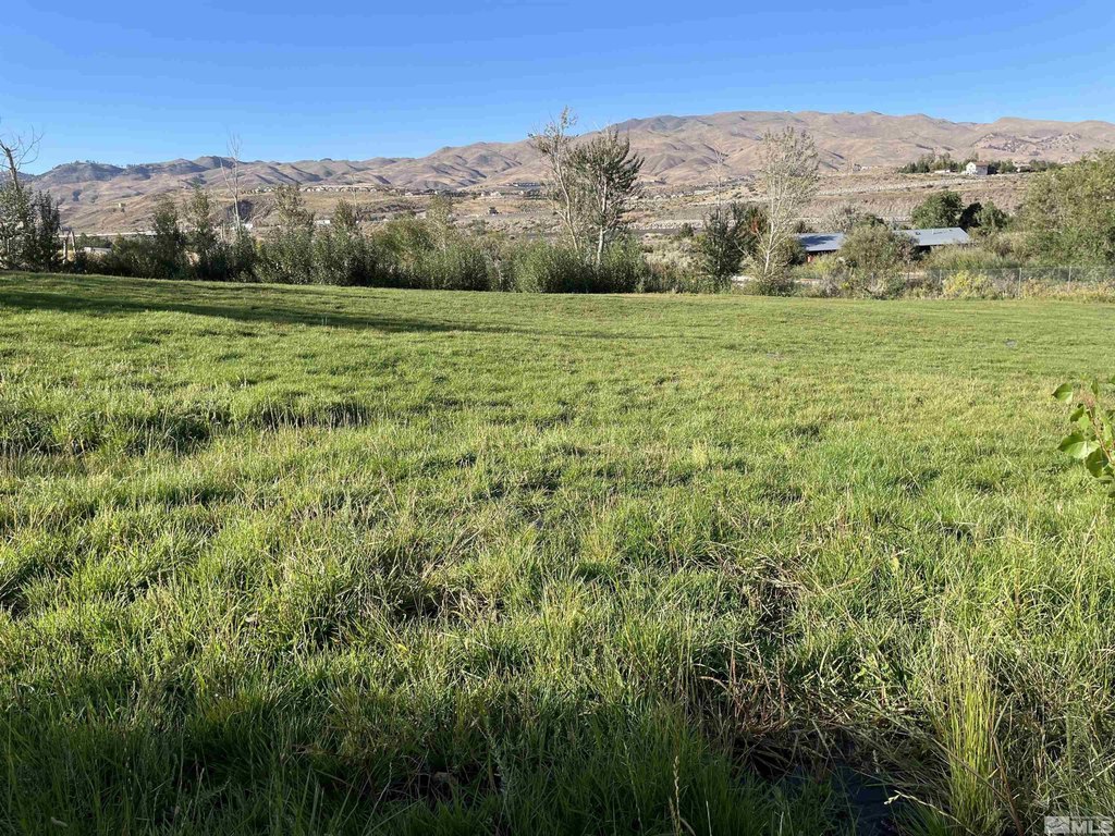 Reno, Nevada, 89523, United States, ,Land,Forsale,1954168