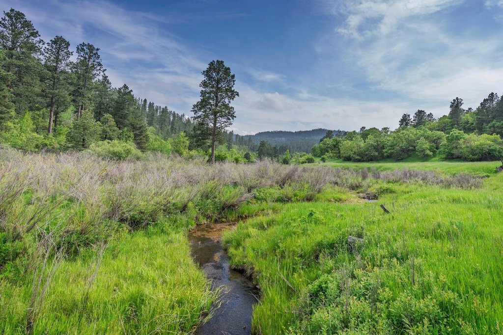 Hulett, Wyoming, 82720, United States, 3 Bedrooms Bedrooms, ,2 BathroomsBathrooms,Residential,Forsale,2004328