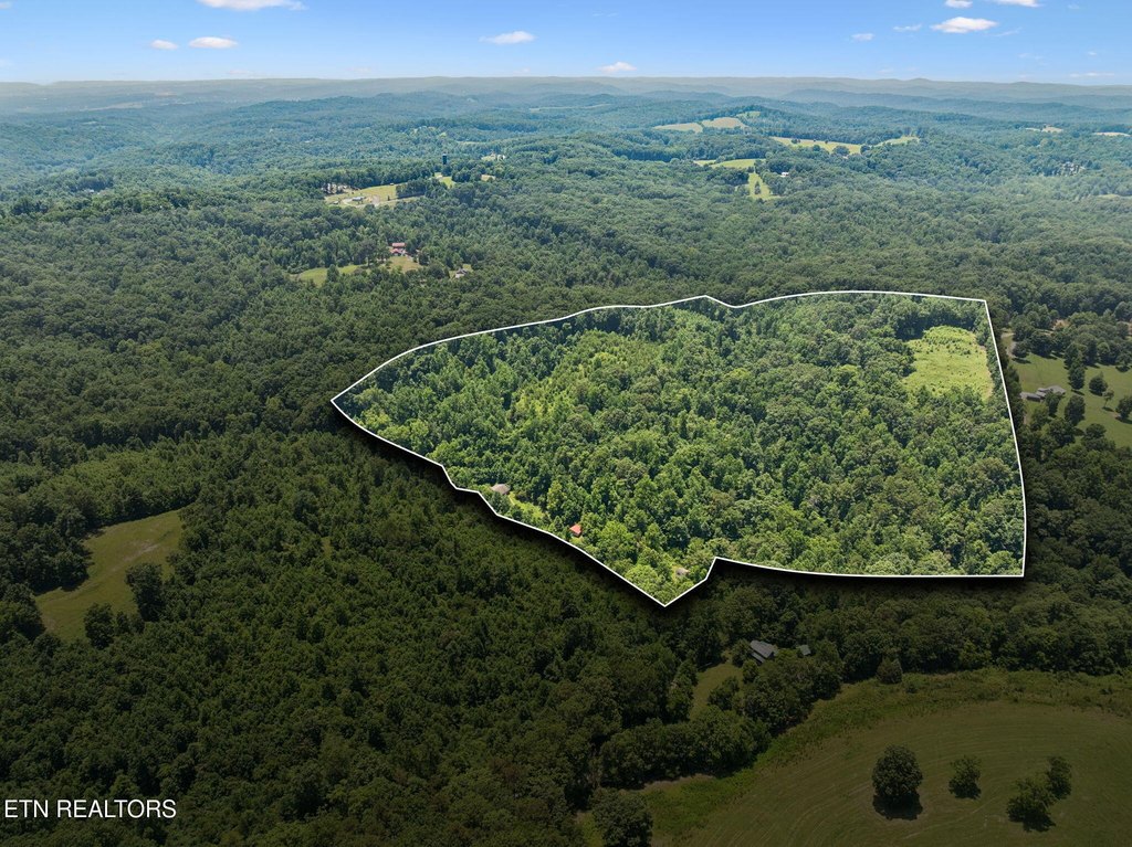 Lenoir City, Tennessee, 37771, United States, ,Land,Forsale,1971864