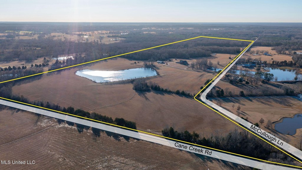 Flora, Mississippi, 39071, United States, ,Land,Forsale,1908059