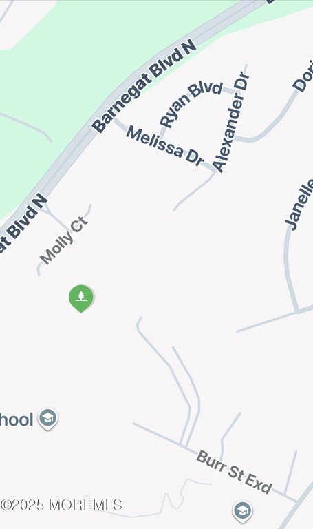 Barnegat, New Jersey, 08005, United States, ,Land,Forsale,1984546