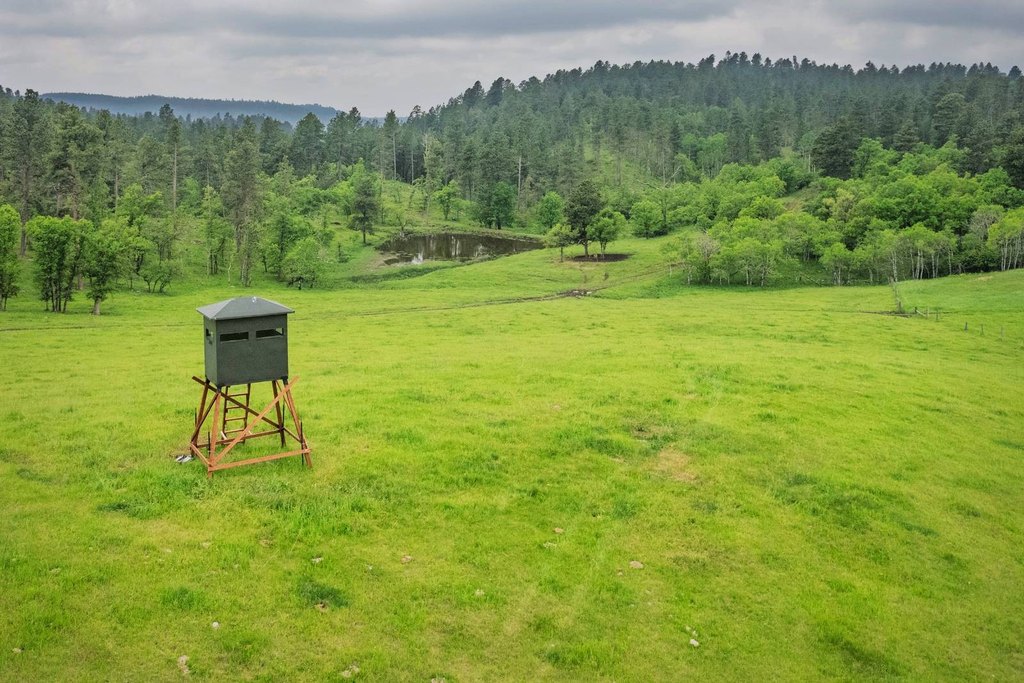Hulett, Wyoming, 82720, United States, 3 Bedrooms Bedrooms, ,2 BathroomsBathrooms,Residential,Forsale,2004328