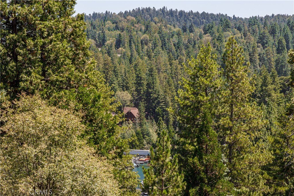 Lake Arrowhead, California, 92352, United States, 3 Bedrooms Bedrooms, ,3 BathroomsBathrooms,Residential,Forsale,1953305