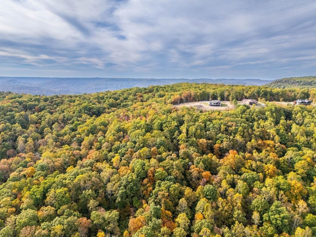 MONTEREY, Tennessee, 38574, United States, 3 Bedrooms Bedrooms, ,2 BathroomsBathrooms,Residential,Forsale,1907888