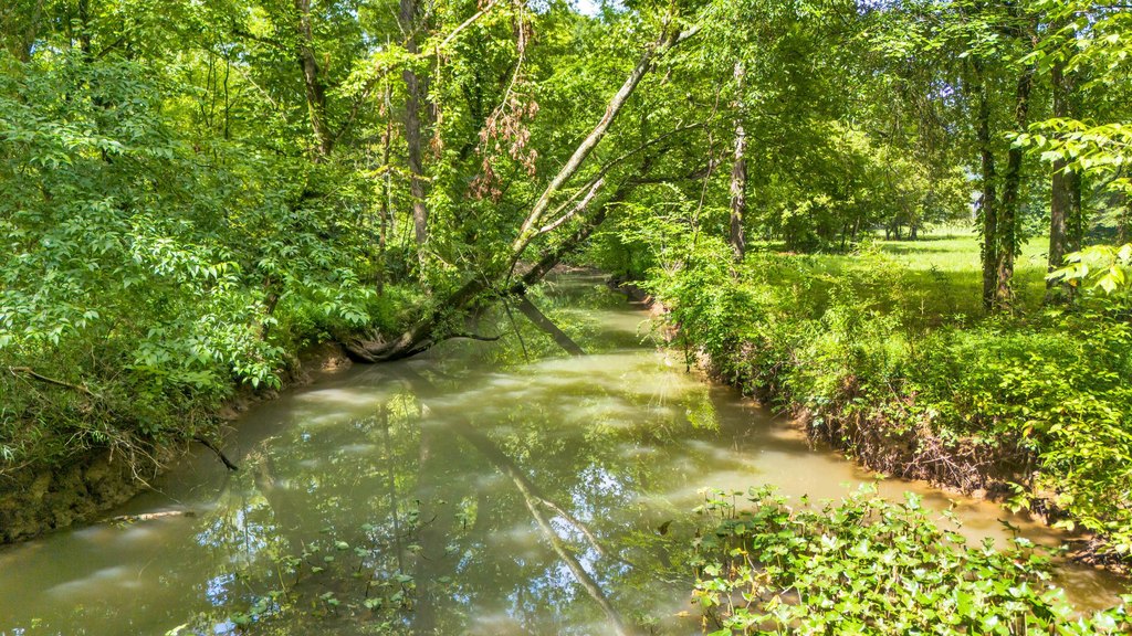 Ringgold, Georgia, 30736, United States, 5 Bedrooms Bedrooms, ,3.5 BathroomsBathrooms,Residential,Forsale,2009483