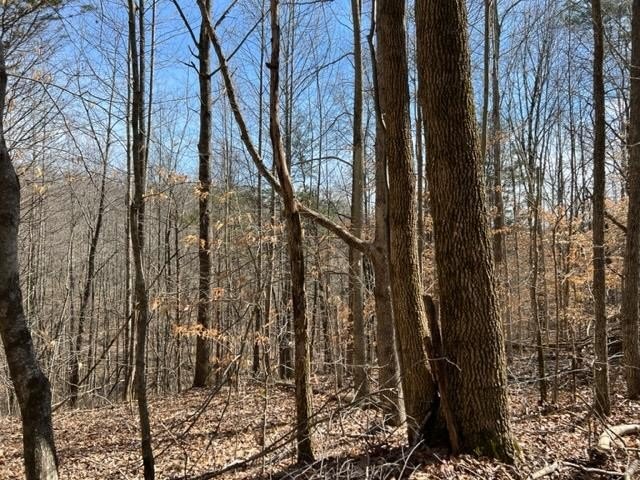 Hilham, Tennessee, 38568, United States, ,Land,Forsale,1999489