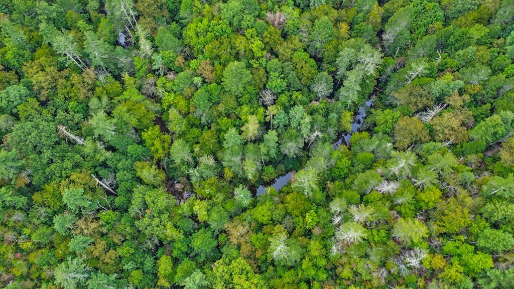 Allardt, Tennessee, 38504, United States, 2 Bedrooms Bedrooms, ,2 BathroomsBathrooms,Residential,Forsale,1953791