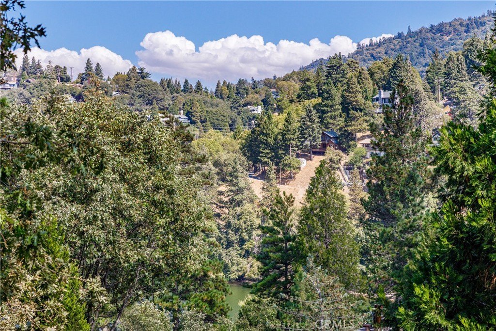 Crestline, California, 92325, United States, 5 Bedrooms Bedrooms, ,4 BathroomsBathrooms,Residential,Forsale,1971046