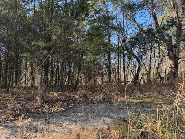 Celina, Tennessee, 38551, United States, ,Land,Forsale,1999487