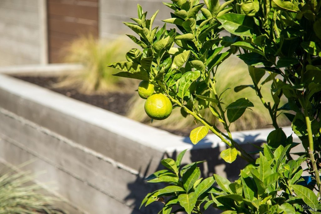 Santa Rosa, California, 95403, United States, 4 Bedrooms Bedrooms, ,6 BathroomsBathrooms,Residential,Forsale,1985918