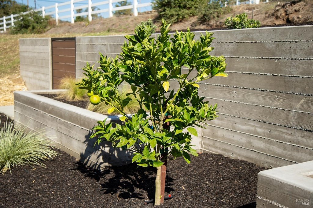 Santa Rosa, California, 95403, United States, 4 Bedrooms Bedrooms, ,6 BathroomsBathrooms,Residential,Forsale,1985918