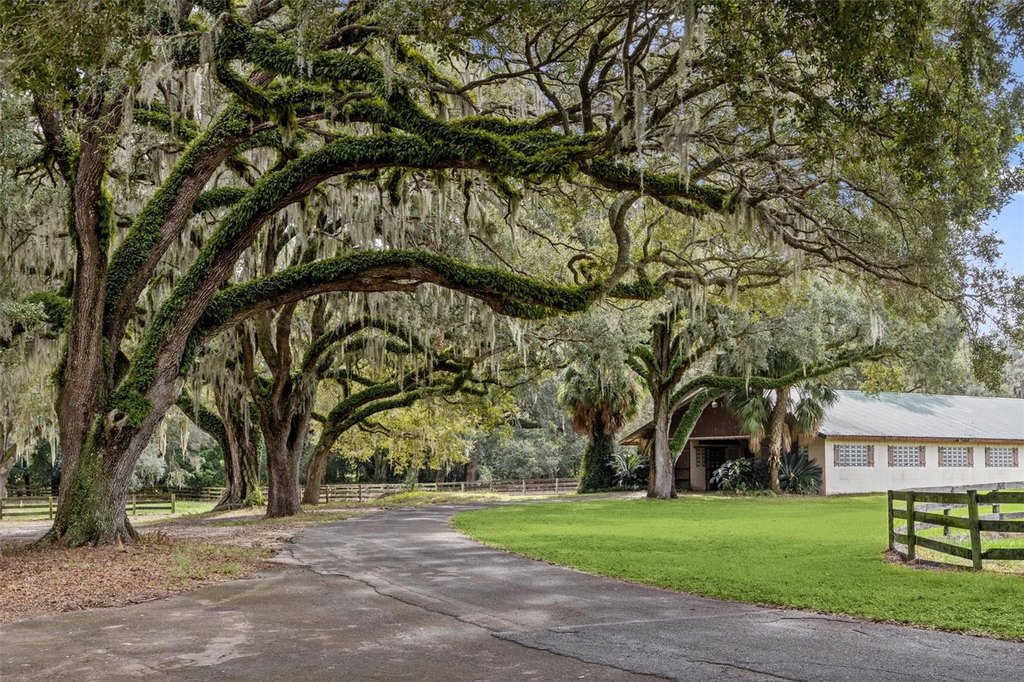 WILLISTON, Florida, 32696, United States, ,Commercial,Forsale,2004593