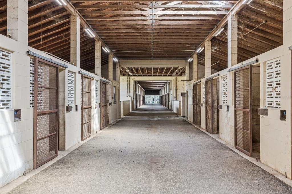 WILLISTON, Florida, 32696, United States, ,Commercial,Forsale,2004593