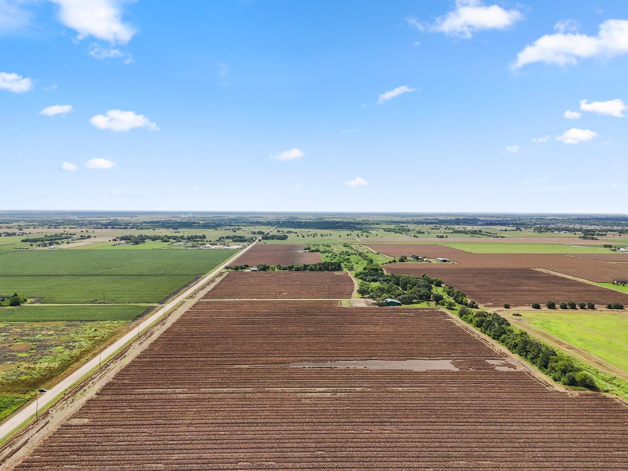 Needville, Texas, 77461, United States, ,Land,Forsale,1973439
