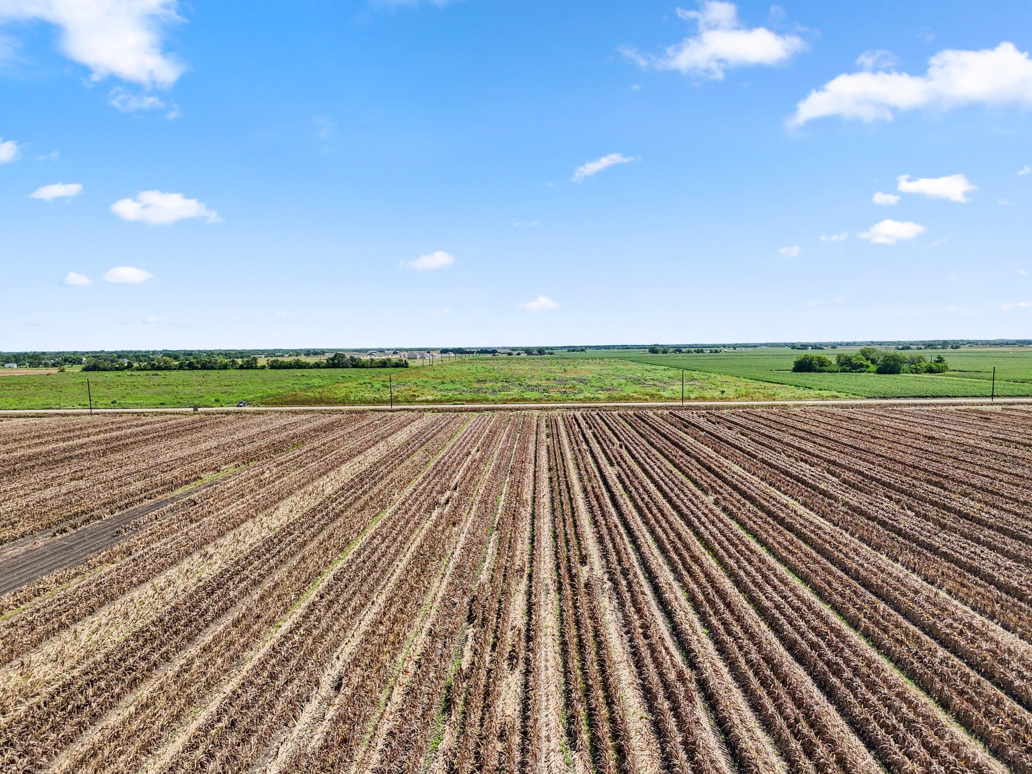 Needville, Texas, 77461, United States, ,Land,Forsale,1973439