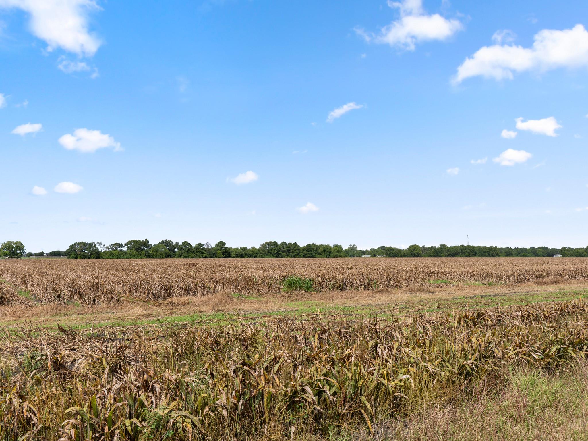 Needville, Texas, 77461, United States, ,Land,Forsale,1973439