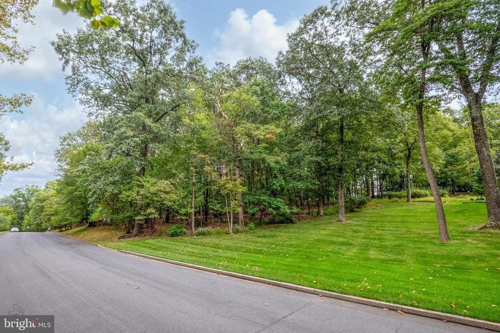 CENTER VALLEY, Pennsylvania, 18034, United States, ,Land,Forsale,2004207 CENTER VALLEY, Pennsylvania, 18034, United States, ,Land,Forsale,2004207