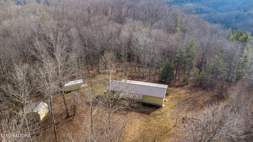 Lancing, Tennessee, 37770, United States, ,Land,Forsale,1999441