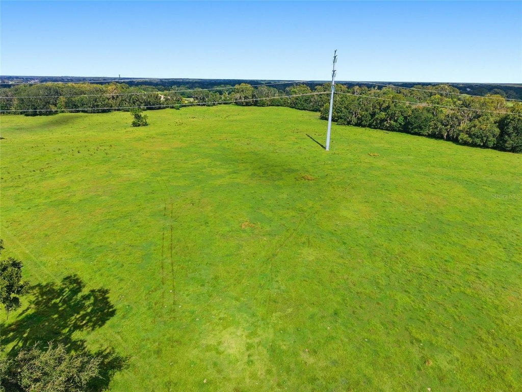 OCALA, Florida, 34475, United States, ,Land,Forsale,2004581