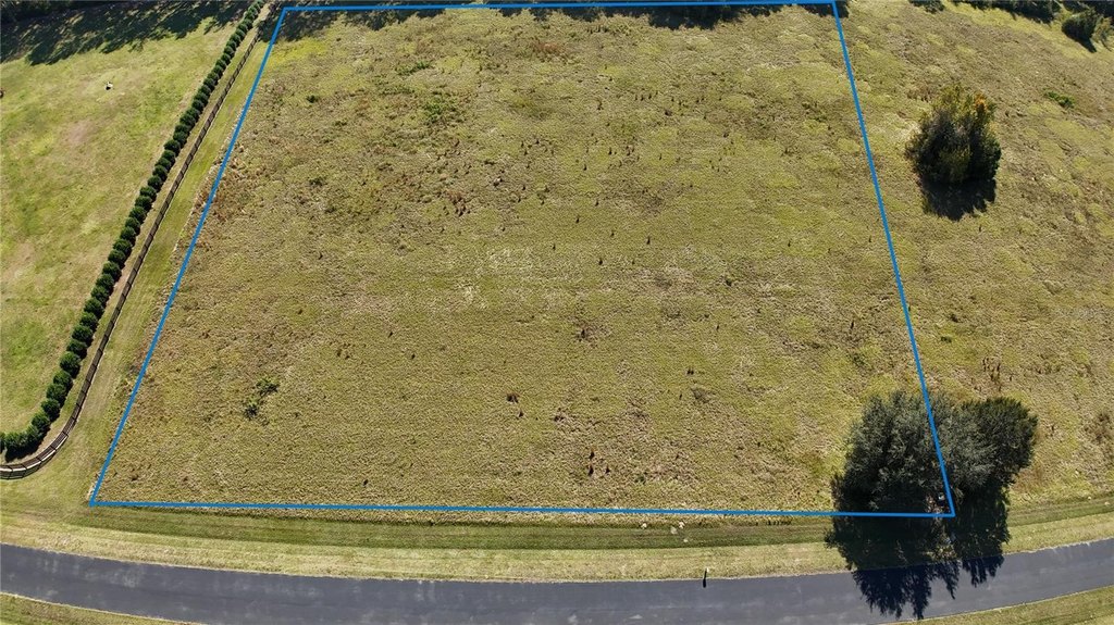 OCALA, Florida, 34482, United States, ,Land,Forsale,1994134