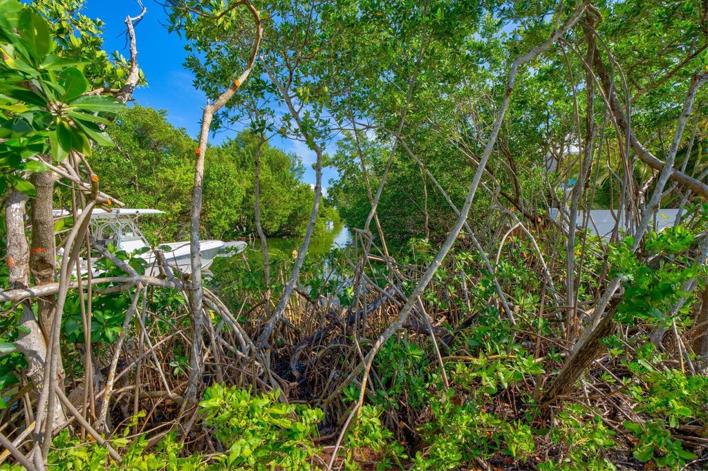 Sugarloaf Key, Florida, 33042, United States, ,Land,Forsale,2011627