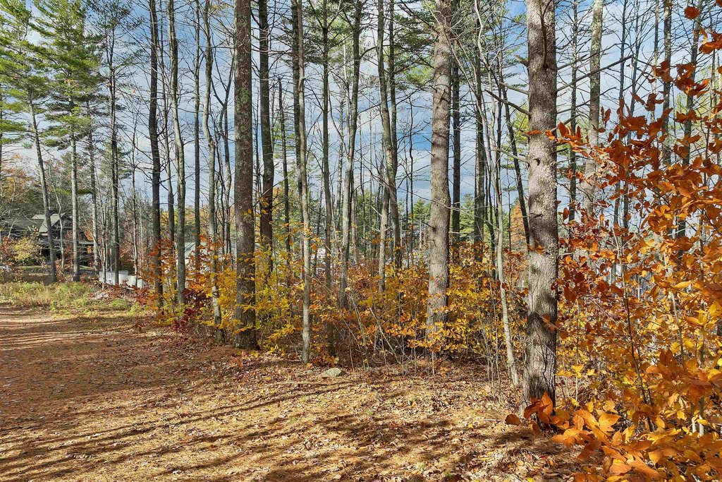 Laconia, New Hampshire, 03246, United States, 3 Bedrooms Bedrooms, ,2 BathroomsBathrooms,Residential,Forsale,2004705