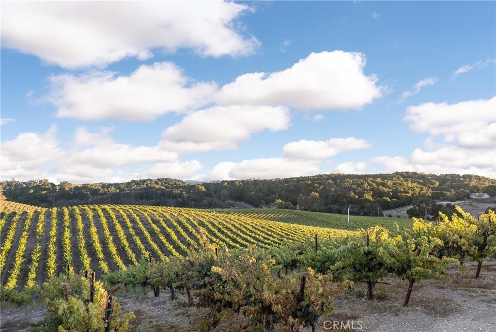 Paso Robles, California, 93446, United States, ,Land,Forsale,1997699