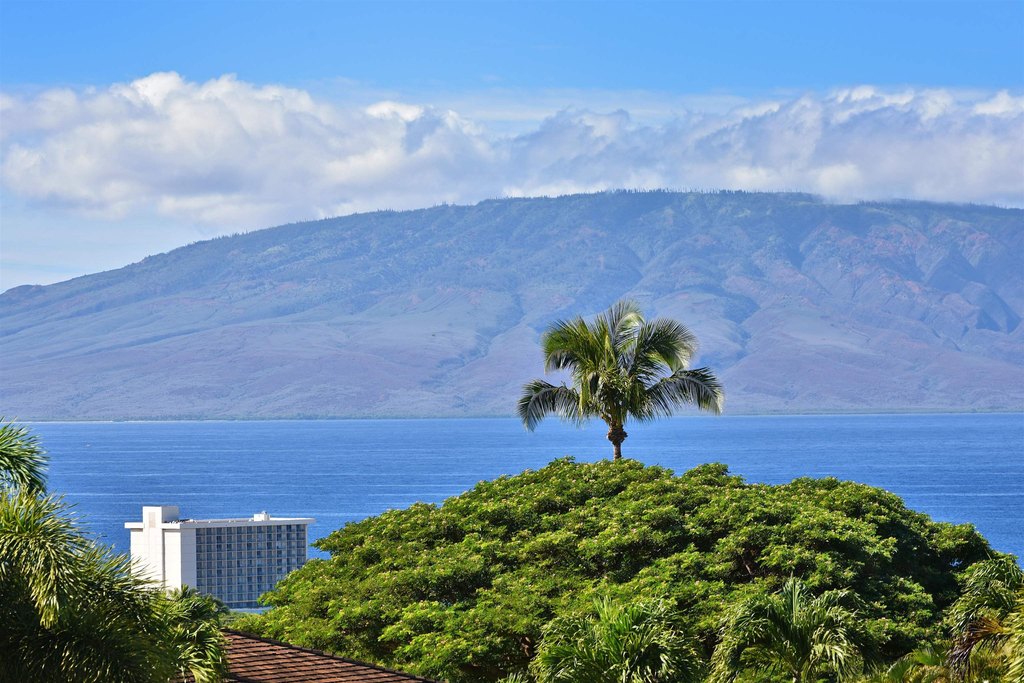 Lahaina, Hawaii, 96761, United States, 1 Bedroom Bedrooms, ,1 BathroomBathrooms,Residential,Forsale,2004551
