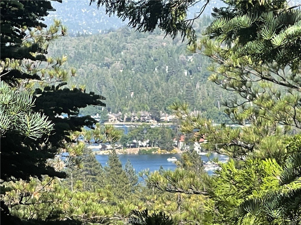 Lake Arrowhead, California, 92317, United States, 3 Bedrooms Bedrooms, ,2 BathroomsBathrooms,Residential,Forsale,1971039