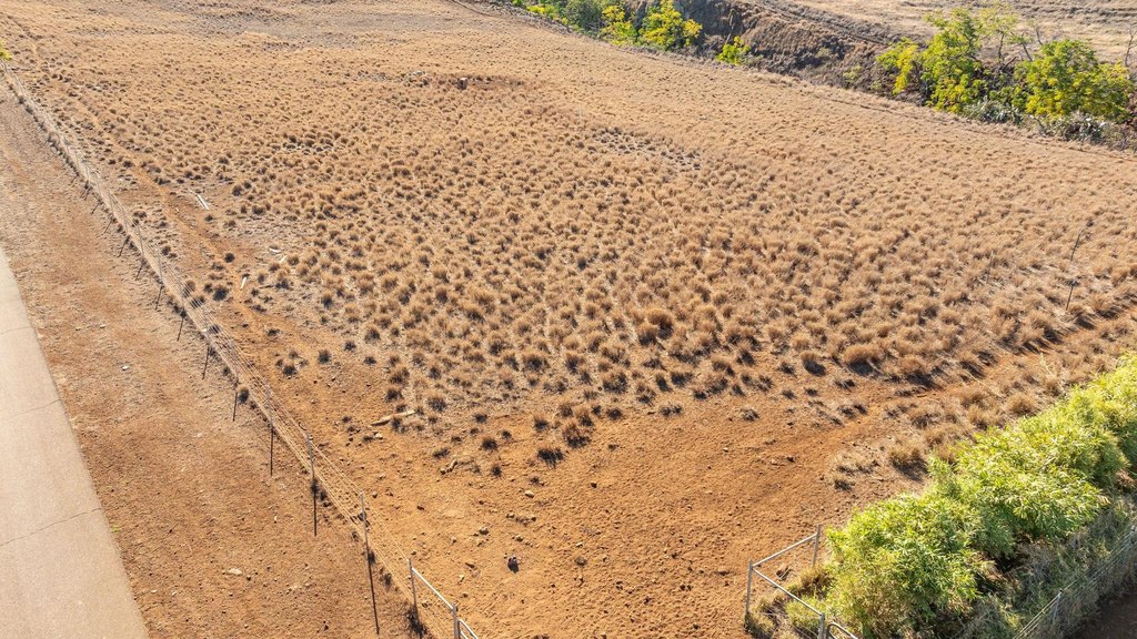 Kula, Hawaii, 96790, United States, ,Land,Forsale,2004556