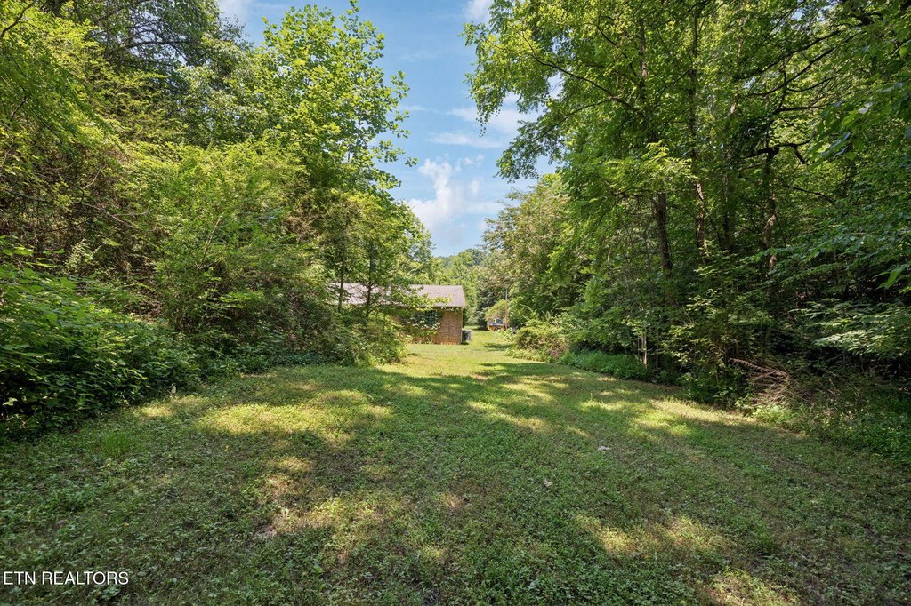 Lenoir City, Tennessee, 37771, United States, ,Land,Forsale,1971864