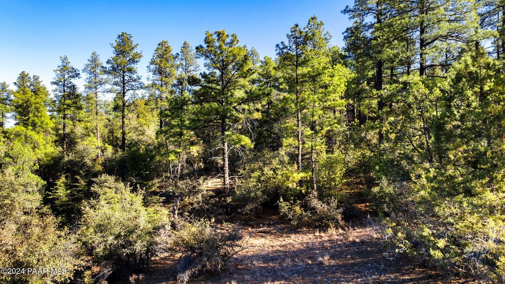 Prescott, Arizona, 86303, United States, ,Land,Forsale,1929276