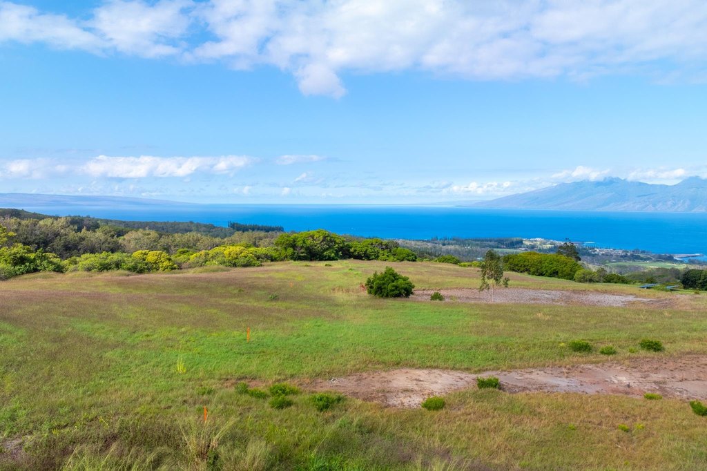 Lahaina, Hawaii, 96761, United States, ,Land,Forsale,2009551