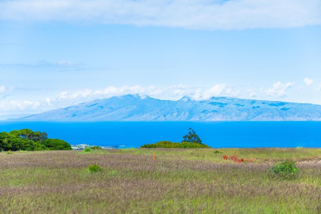 Lahaina, Hawaii, 96761, United States, ,Land,Forsale,2009551