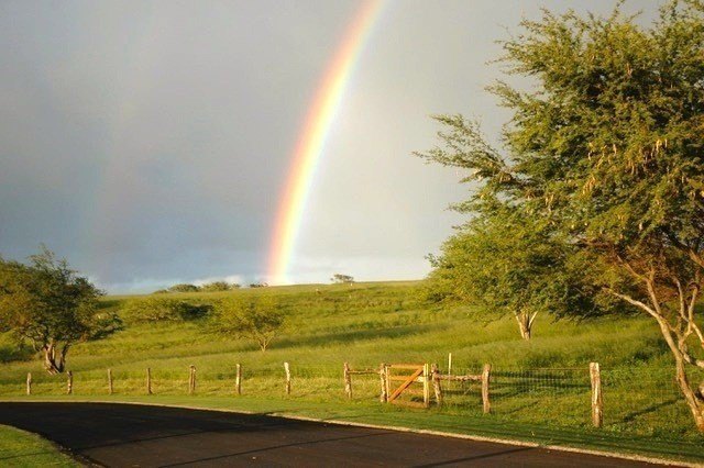 Hawi, Hawaii, 96719, United States, ,Land,Forsale,1886637