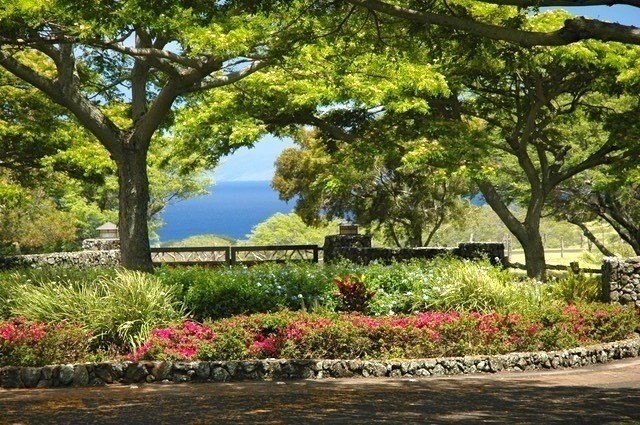 Hawi, Hawaii, 96719, United States, ,Land,Forsale,1886637