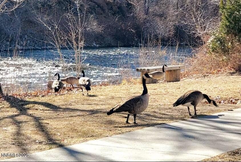 Reno, Nevada, 89509, United States, 3 Bedrooms Bedrooms, ,2 BathroomsBathrooms,Residential,Forsale,2012833