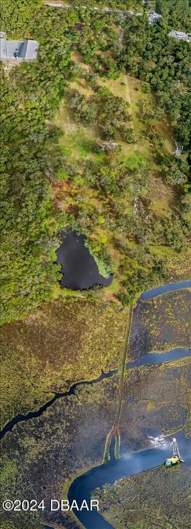 Flagler Beach, Florida, 32136, United States, ,Land,Forsale,2002762
