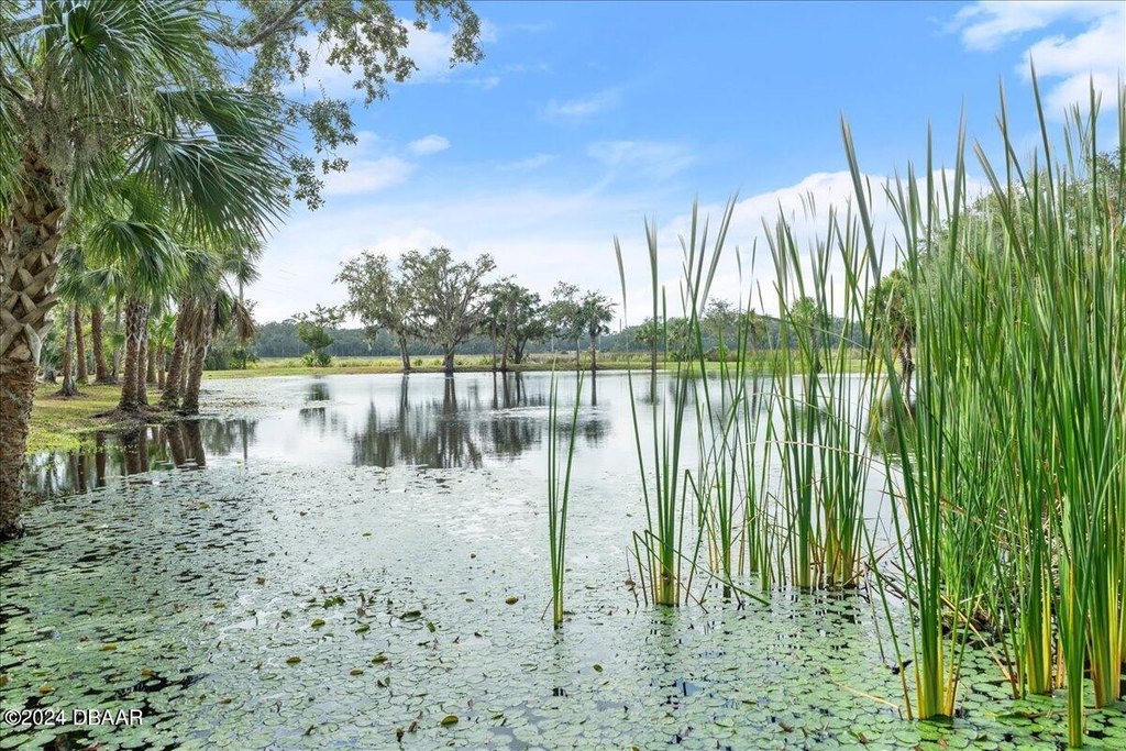 Flagler Beach, Florida, 32136, United States, ,Land,Forsale,2002762