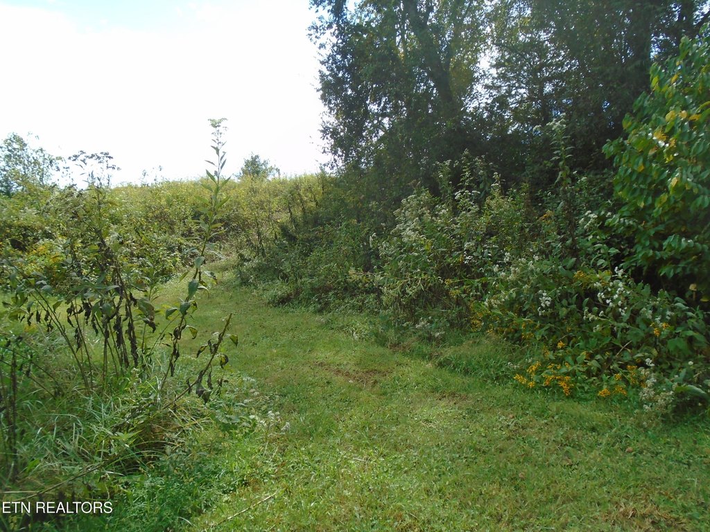 Friendsville, Tennessee, 37737, United States, 3 Bedrooms Bedrooms, ,2 BathroomsBathrooms,Residential,Forsale,1973588