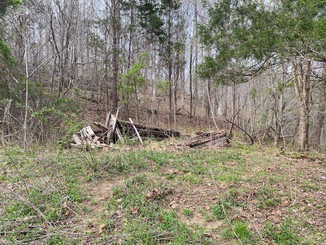 Hilham, Tennessee, 38568, United States, ,Land,Forsale,1999489