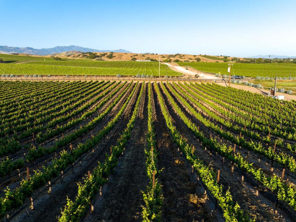 SANTA YNEZ, California, 93460, United States, ,Land,Forsale,1985949