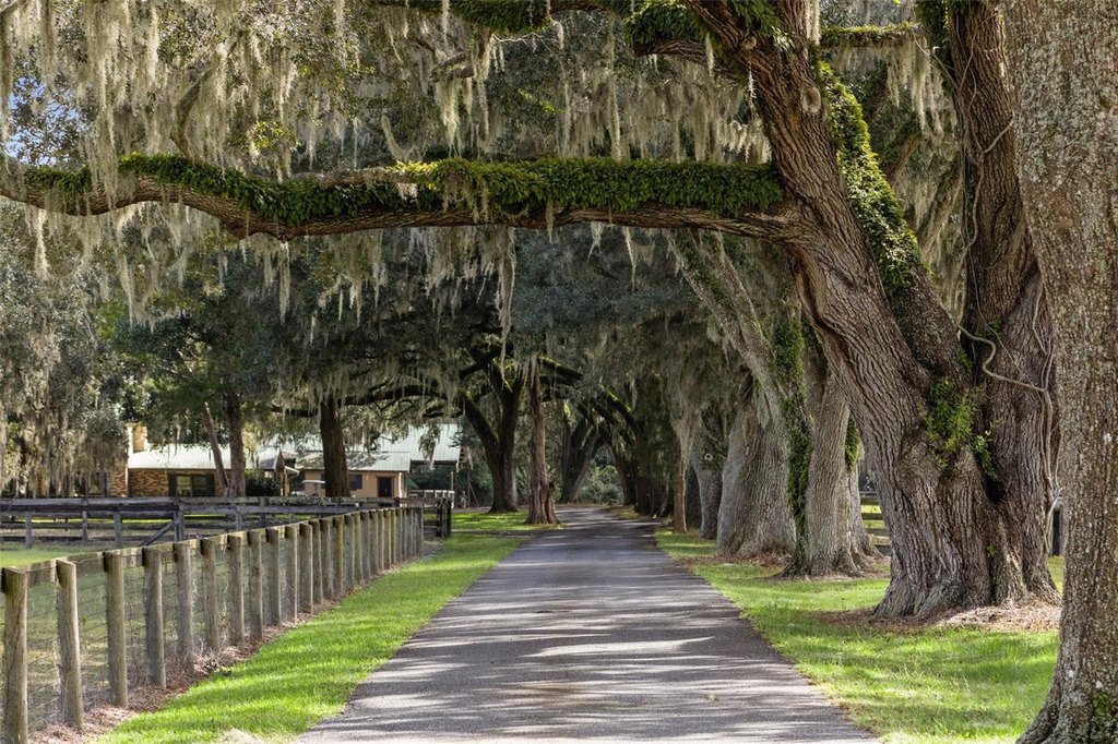 WILLISTON, Florida, 32696, United States, ,Commercial,Forsale,2004593