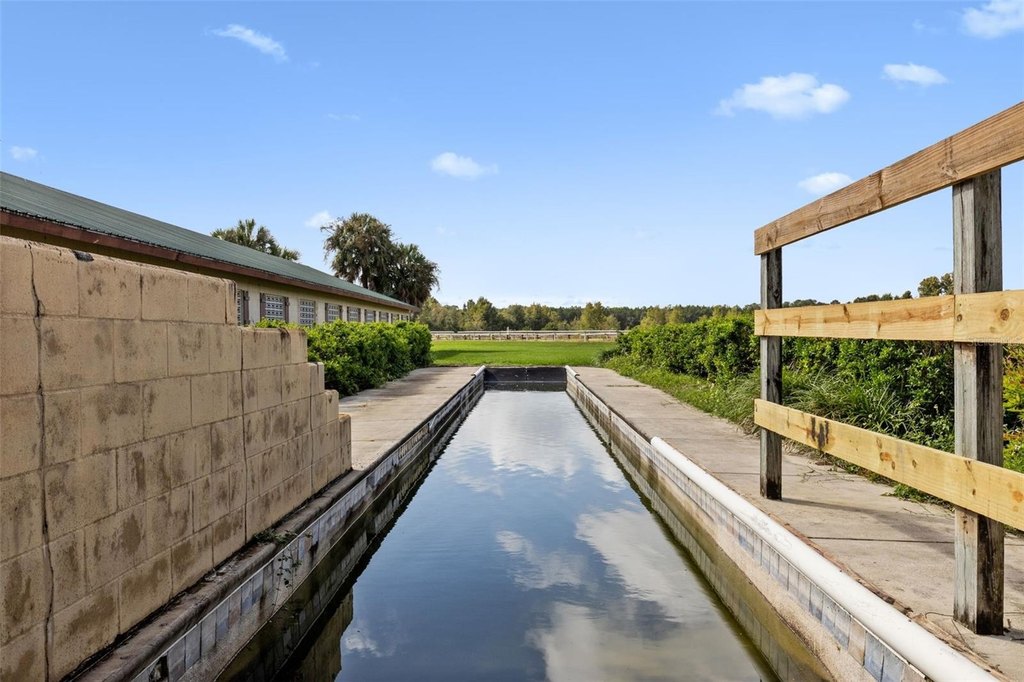 WILLISTON, Florida, 32696, United States, ,Commercial,Forsale,2004593